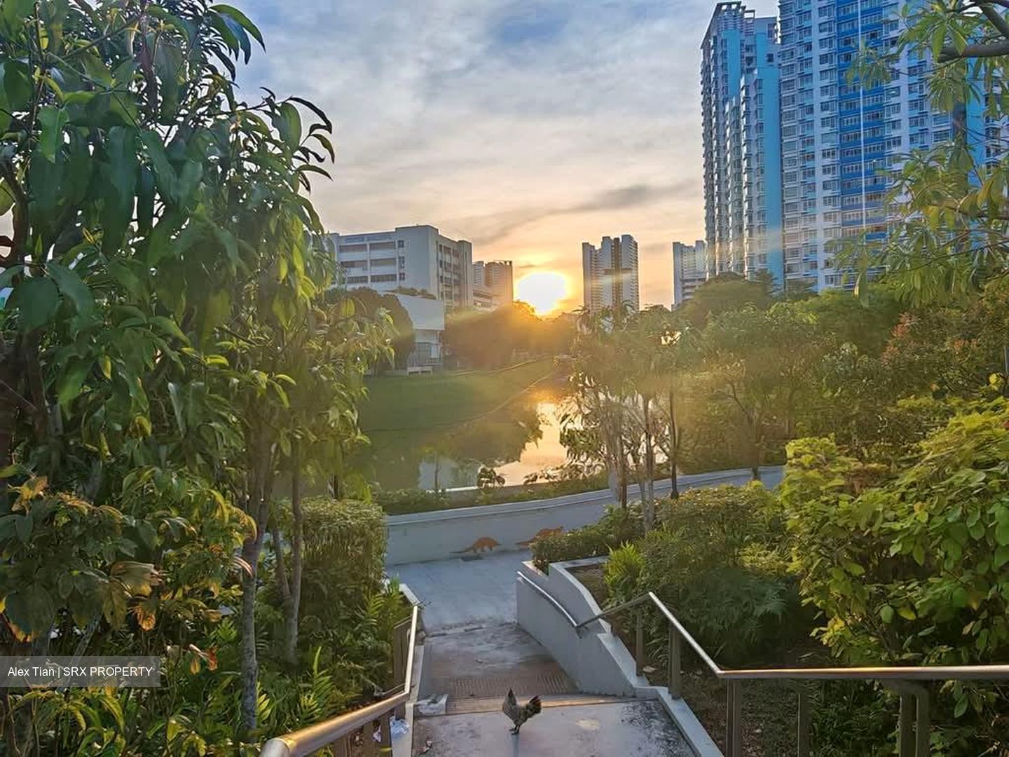 Blk 65 Kallang Bahru (Kallang/Whampoa), HDB 3 Rooms #560998421